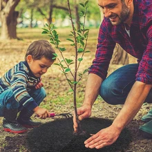 

Garden 6 Sizes Non-Woven Tree Mulch Ring Weeding Barrier Thickened Protector Mat Plant Cover Anti Grass Fabric Weed Control