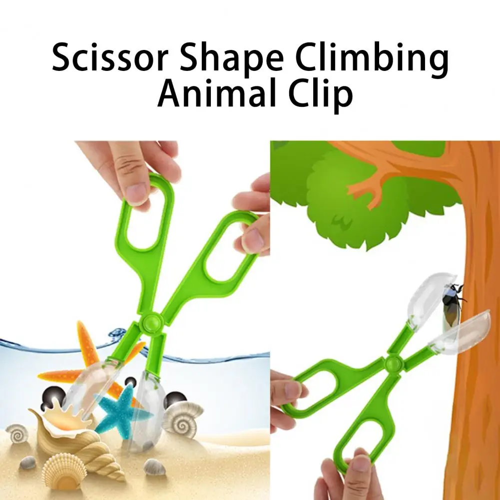 Transparent Insect Catcher Scissor Observe Handle Grip Clamp Tong Climbing Animal Kids Catcher Outdoor Exploration Toys 5