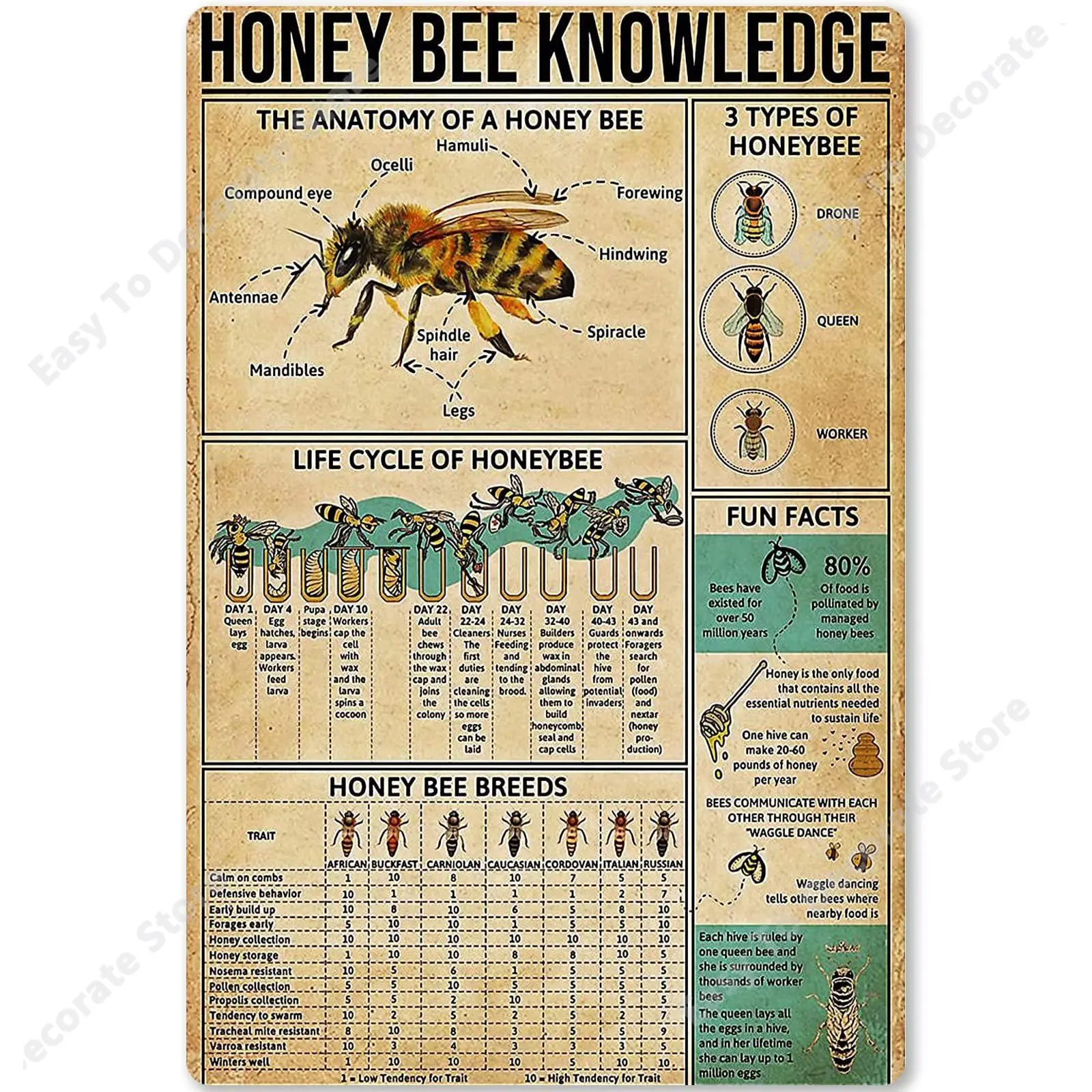 

Bee Knowledge Metal Tin Sign Information About Bees Diagram Poster for School Education Bar Cafe Club Home Kitchen Wall 8x12 In