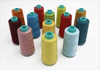100 Colors Embroidery Machine Baota Flat High-speed Sewing Embroider Thread