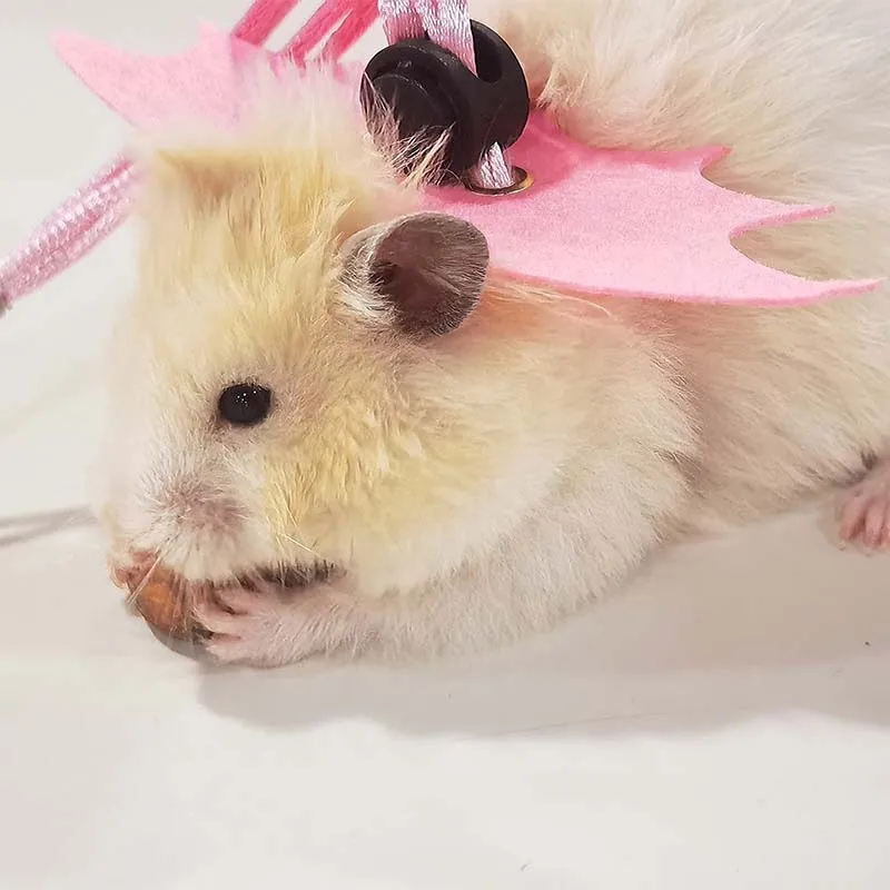 Hamster Traction Rope Anti Escape and Anti Bite for Golden Wire Bear Honey Bag Flying Squirrel