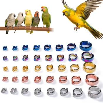 New 4-15mm Parrot Foot Rings Metal Pet Bird Leg Rings Outdoor Fly Training Activity Anti-Lost Opening Clip Leash Accessories 1