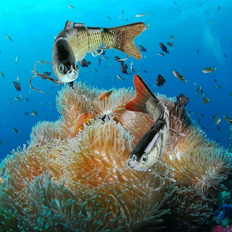 Five Piece Realistic Bionic Lures 6