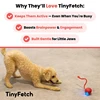 Tiny Fetch Dog Toy Pet Interactive Automatic Teasing Ball Cat Dog Self-soothing Toy Smart Rolling Electric Chew Proof Dogs Toy 5