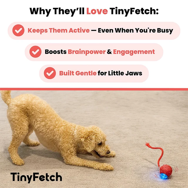 Tiny Fetch Dog Toy Pet Interactive Automatic Teasing Ball Cat Dog Self-soothing Toy Smart Rolling Electric Chew Proof Dogs Toy 5