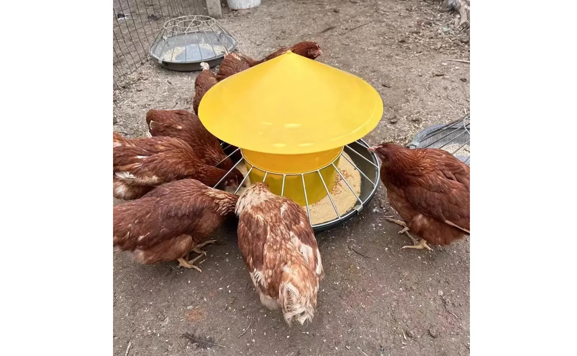 Round Fowl Feeder Large Capacity Fowl Feeder Chicken Feeding Trough Easy Installation Automatic Nourishment Container Anti-Perch