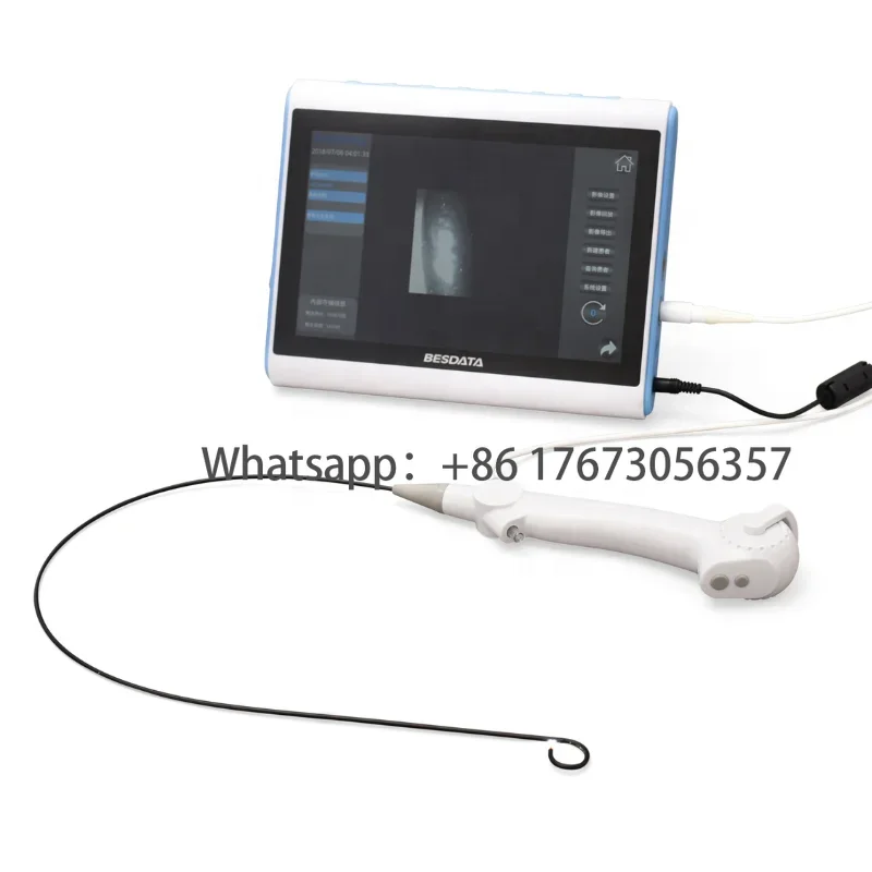 

2022 BESDATA Single Use Digital Flexible Ureteroscope With 10 Inch Medical Image Processor For Medical Surgery