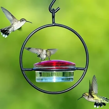 Hanging Hummingbird Feeder 1