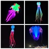 20m led octopus kites flying trilobites kite for adults kite string line windsurfing led fish kites with battery Breezemoon fun 1