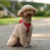 Summer Mesh Harness Vest and Leash Set for Small Dogs Adjustable Puppy Cat Harness Outdoor Dog Walking Chest Strap Pets Supplies 4