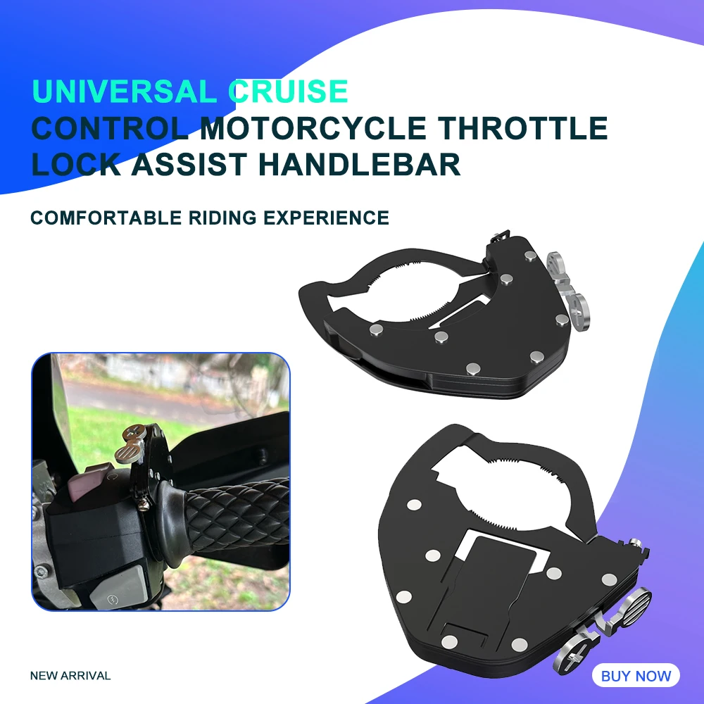 r1200gs cruise control