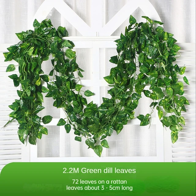1Pc Green Dill leaf