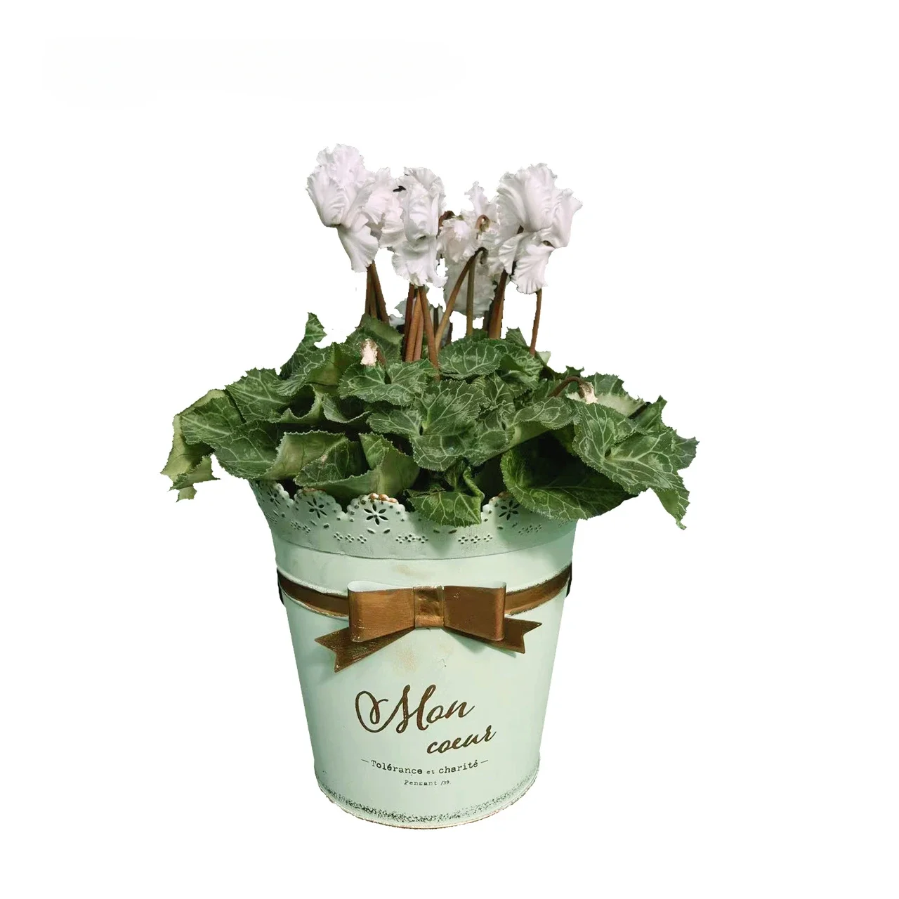 

Bow Lace Style Green Iron Flower Pot Vintage Letter Pattern White Iron Sheet Cylinder Home and Outdoor Potted Plant Racks