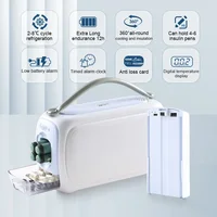 Boîte Portable Indispensable pour le Stockage des Médicaments, Insuline Unidirectionnelle, Interféron Indispensable, Nombreux Mini Réfrigérateur 3