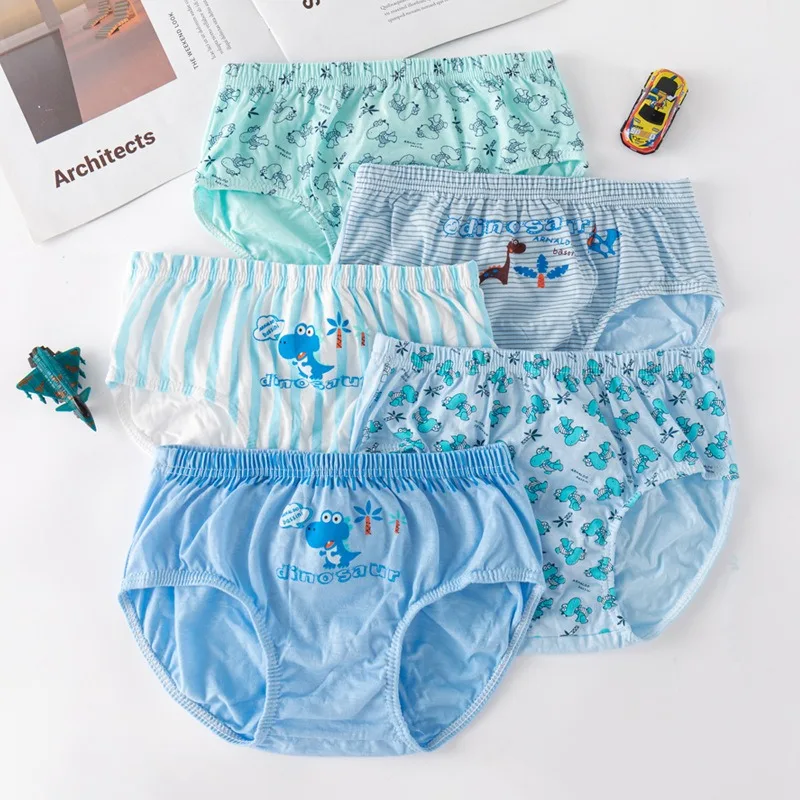 Boys Dinosaur Underwear Set 3