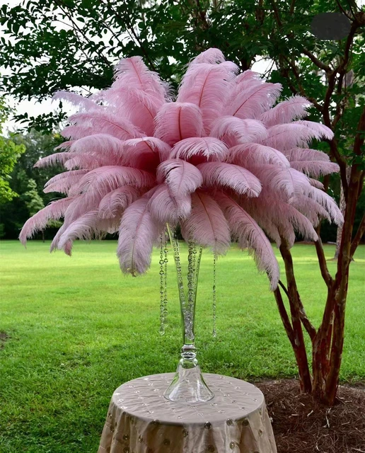 10Pcs/Lot 50-55cm Ostrich Feathers for Crafts Table Centerpieces Handicraft  Accessories Feather for Vases Natural Carnival Plume