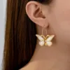 26323-de38a7.jpg Butterfly Colored Elegant Earrings Cute and Exquisite Accessories for Women