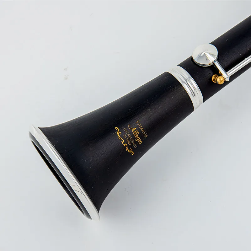 Japan Professional Wood Bakelite Tube Bb Clarinet Musical Instruments Clarinet With Case