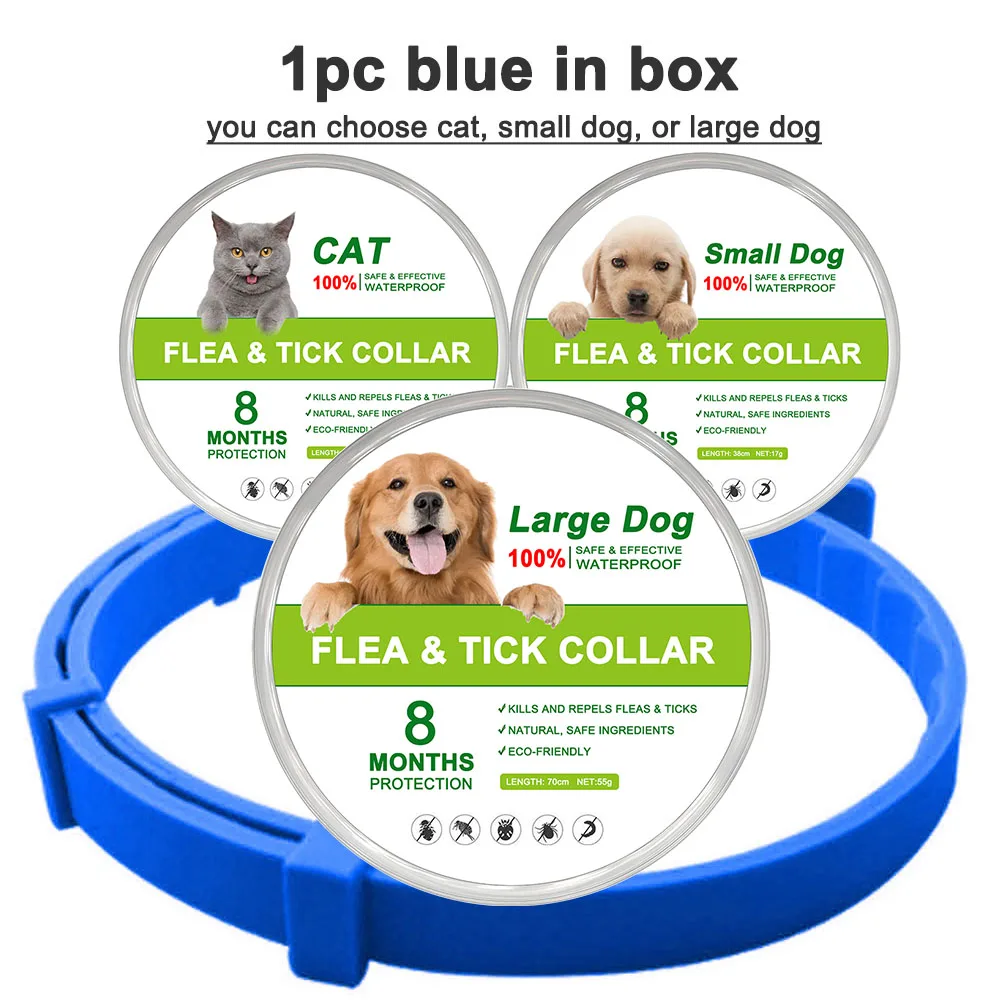 blue (in box)