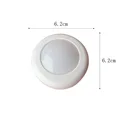 Paipai Lamp