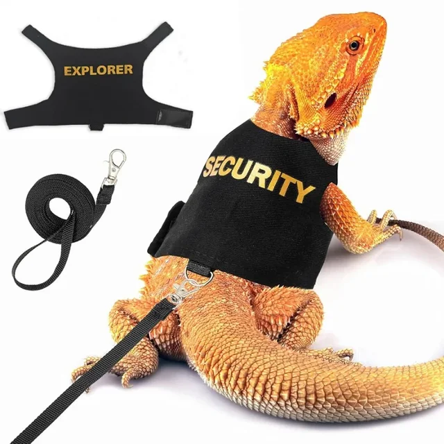 Multi Lizard Leash Harness Soft Padding Reptile Leather Dragon Wings Vest Top with Hook and Loop Small Animals Cute Clothes 1