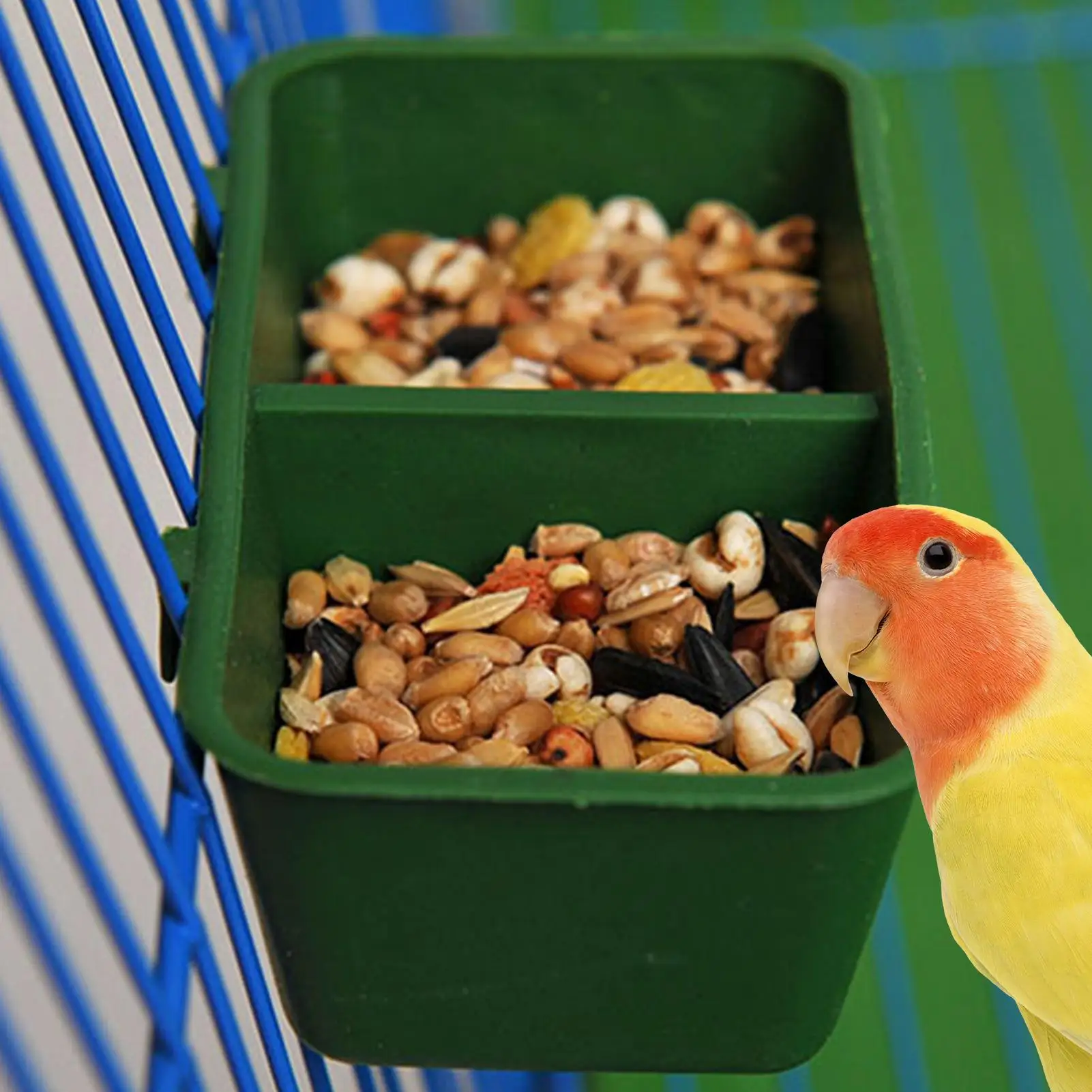 Ciotola 2-in-1 per Cibo e Acqua per Pappagalli, Doppia Ciotola per Alimentazione, Contenitore in Plastica per Acqua e Cibo per Uccelli/Piccioni, Ciotola per Acqua per Animali Domestici - immagine 3