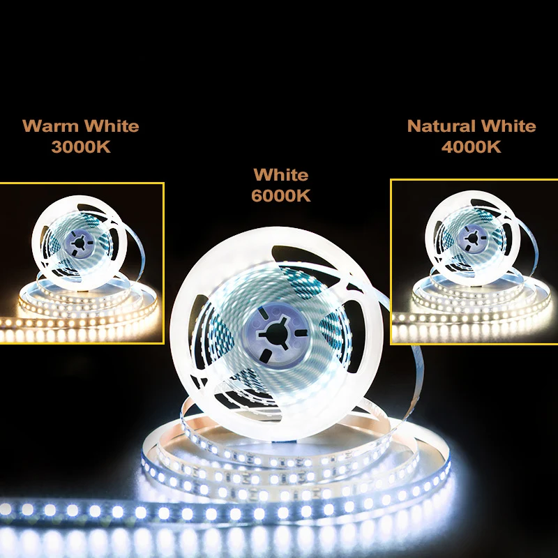 Striscia LED 5m 300 SMD 2835 Bianco Freddo 6000K: Impermeabile IP65 Tagliabile Per Cucina Ed Esterni