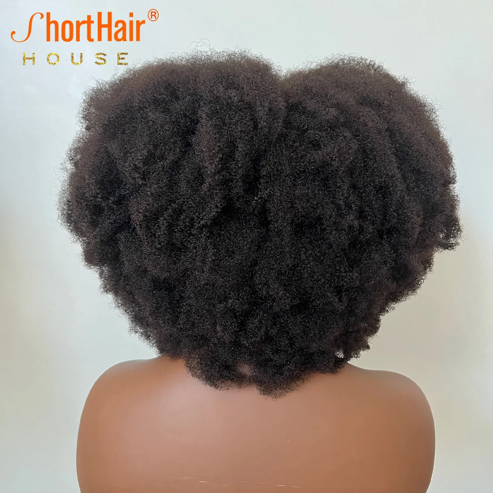 Afro Human Hair Wigs Thicker Bangs 13x4 Transparent Lace Front Wig Brazilian 4x4 Closure Wig 250% High Density Black
