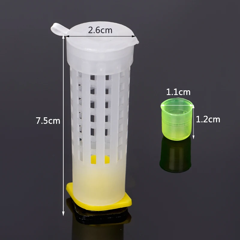 Beekeeping Tool Set Queen Bee Cage Cages King Queen Catcher Box Bee Cell Cups 20 Set Complete Kit Isolation Protection Tools beekeeping tools beekeeping accessories