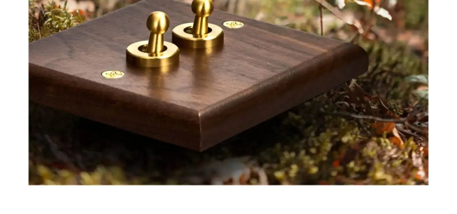 wooden wall switch panel detail