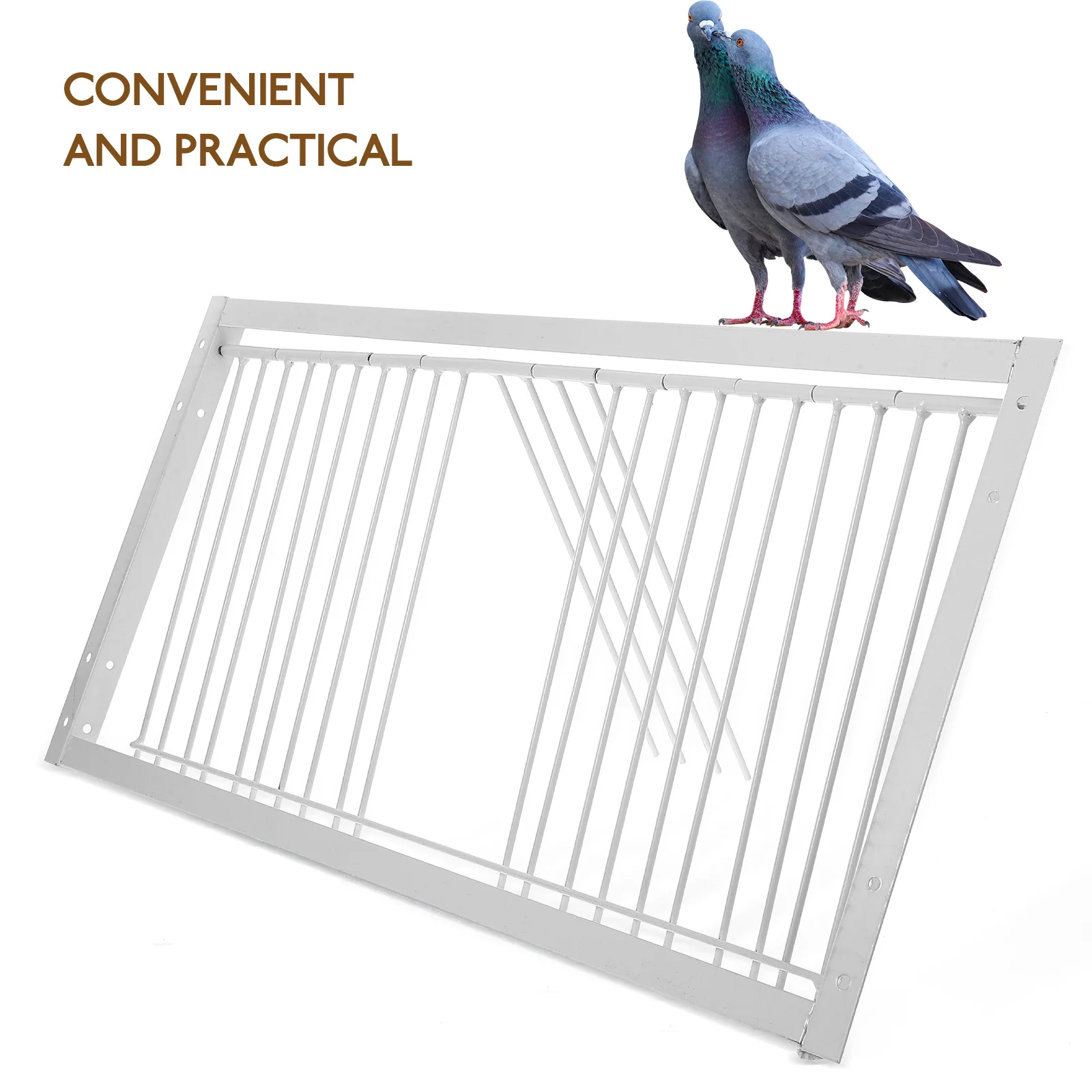 Entrance Wire Traps Door Pigeon Bird Racing Birds House Dove Puppy Iron Supplies