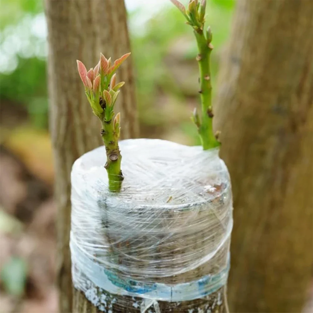 Stretchable PE Grafting Tape Roll for Garden Tree and Plant Seedlings Sf0fd6278bcaa482db0164bb60e5f11cb8