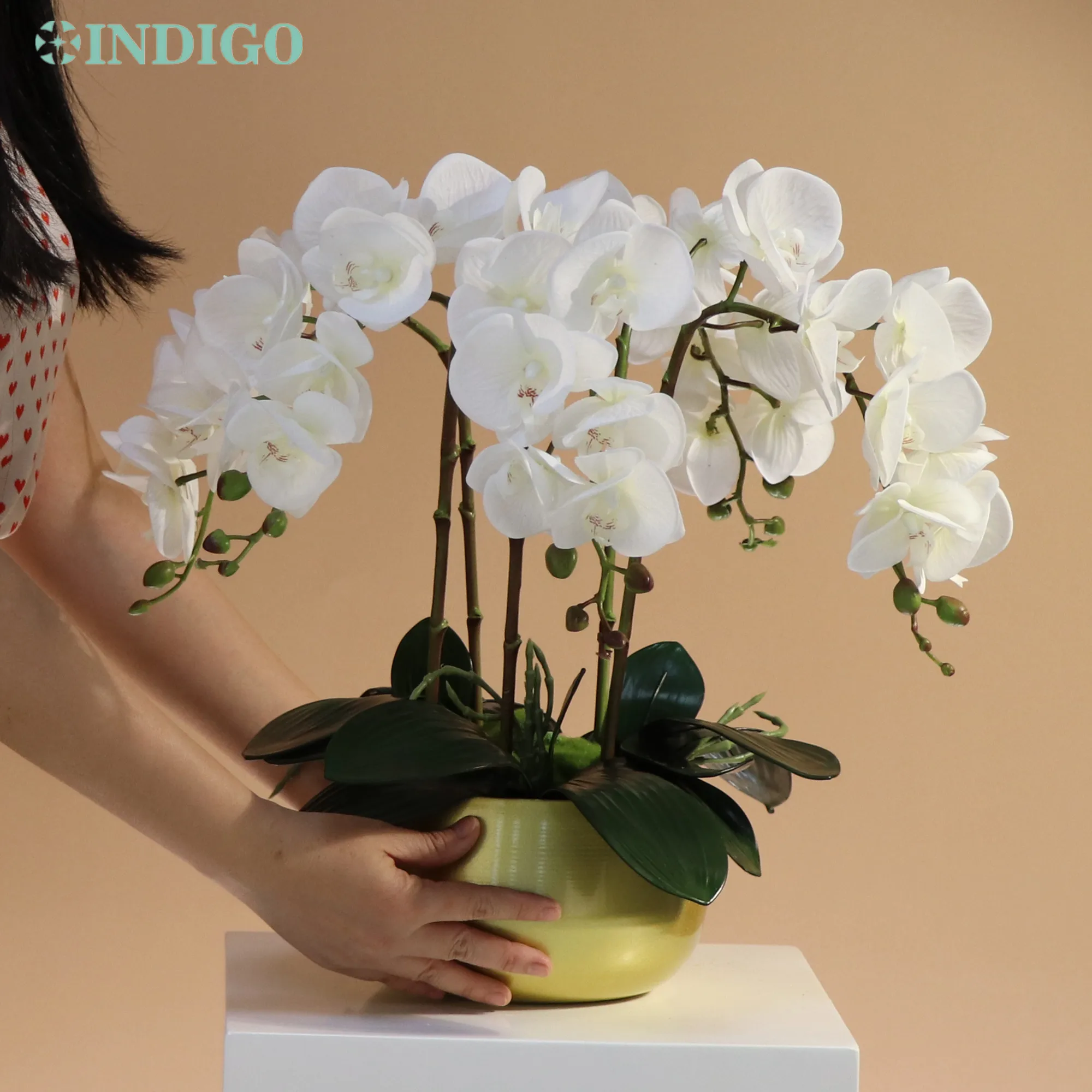 Orquídea de polilla blanca, arreglo de flores DIY (5 uds. De orquídeas + 4  Uds. De musgo + 3 hojas + olla), centro de mesa de decoración de flores de  mariposa INDIGO - AliExpress, image size:2000x2000