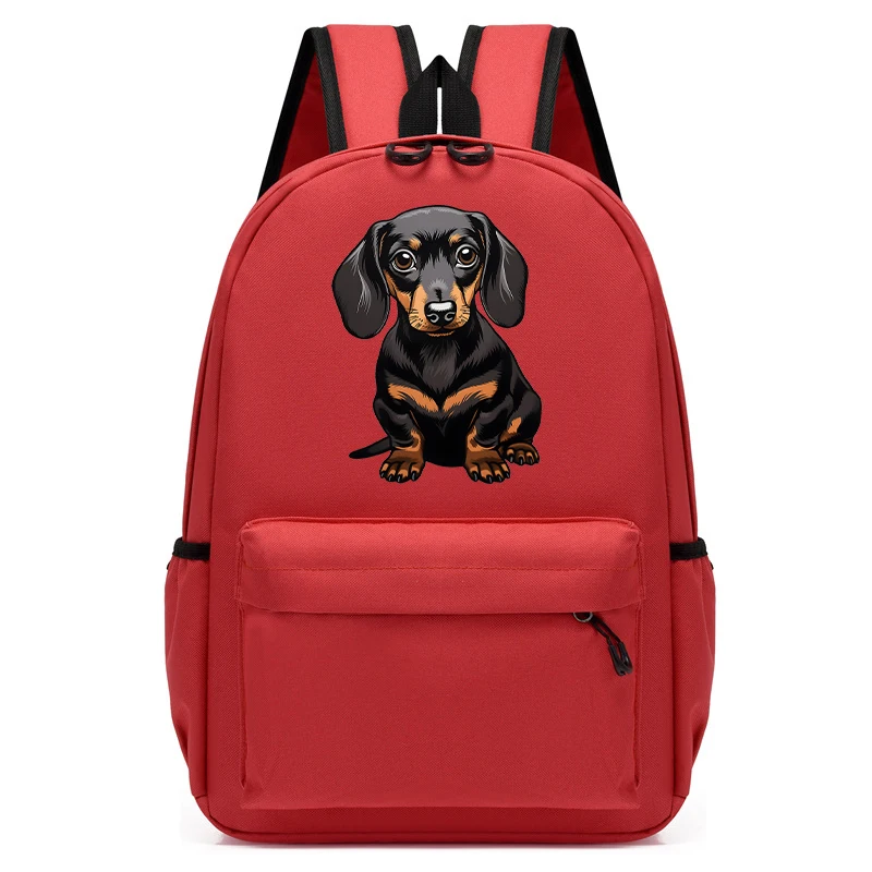 Dachshund Bolso Mochila Para Perros Bolso Salchicha Bolso Peluche