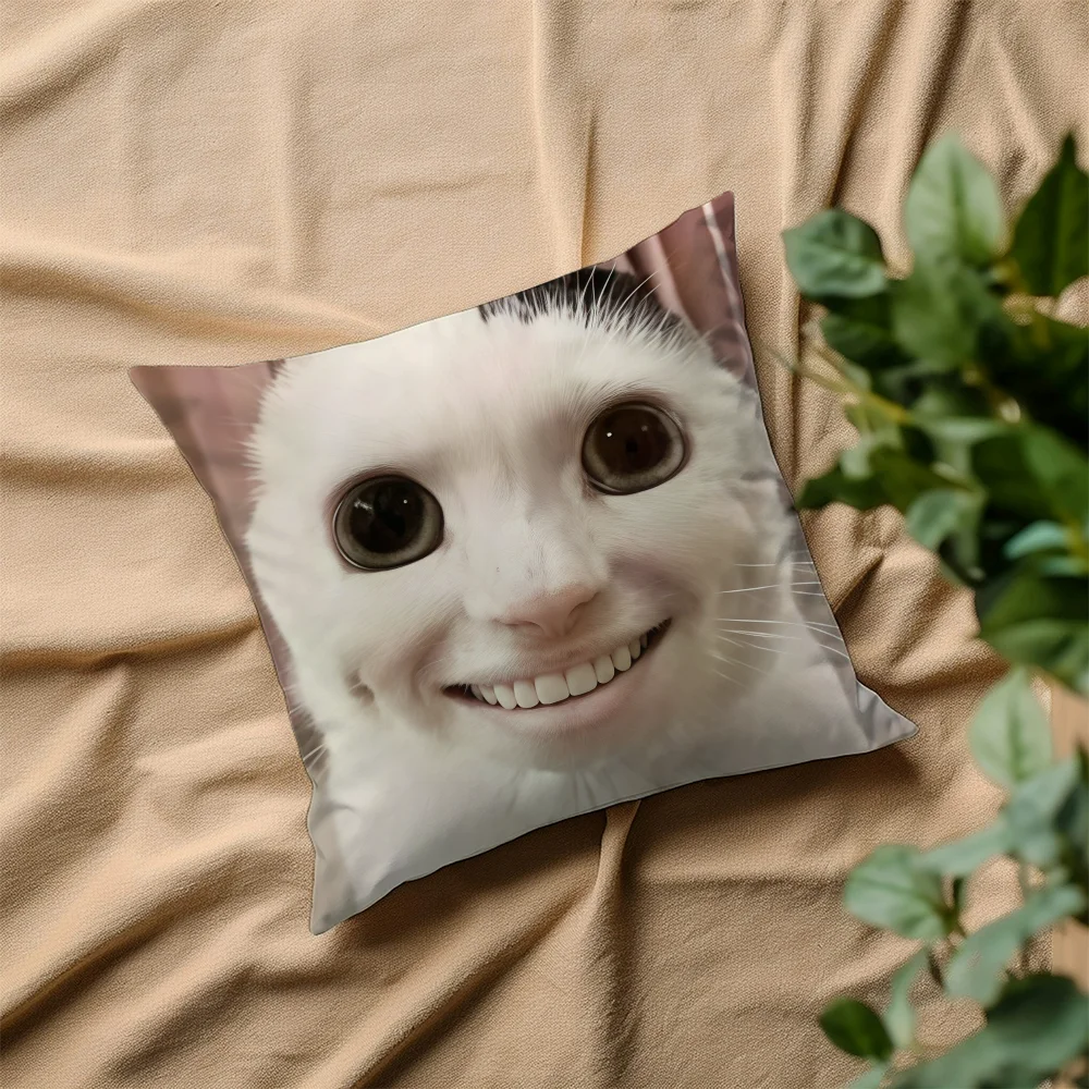 Humorous Cat Meme Skin-Friendly Sofa Cushion Cover