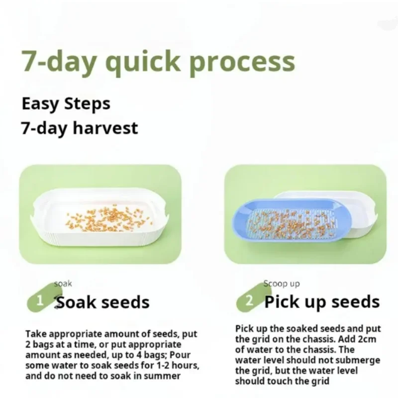 Hydroponic Cat Grass Box Set Soilless Planting Catnip Treats Easy Growth