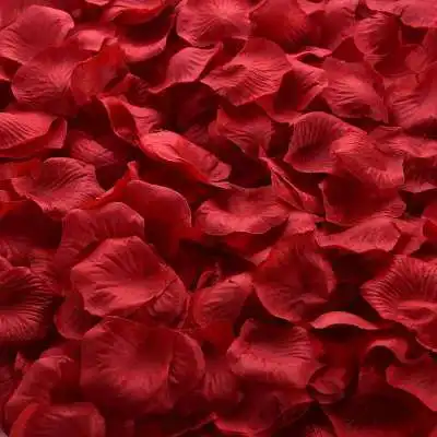 thumbnail image 1 of 100/500/1000 piezas de confeti de pétalos de rosa de seda, flores artificiales, decoración para fiestas de bienvenida al bebé, eventos navideños, manualidades, suministros para bodas, 1 of 5