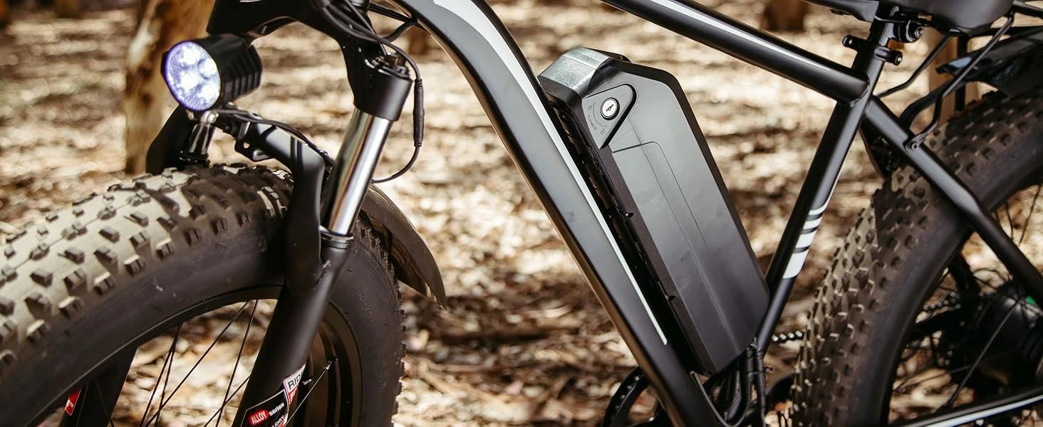 Electric Bike for Adults