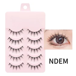 Anime - Inspired Natural Daily Faux Eyelashes - 5 Pairs with Clear Band (NDEM)