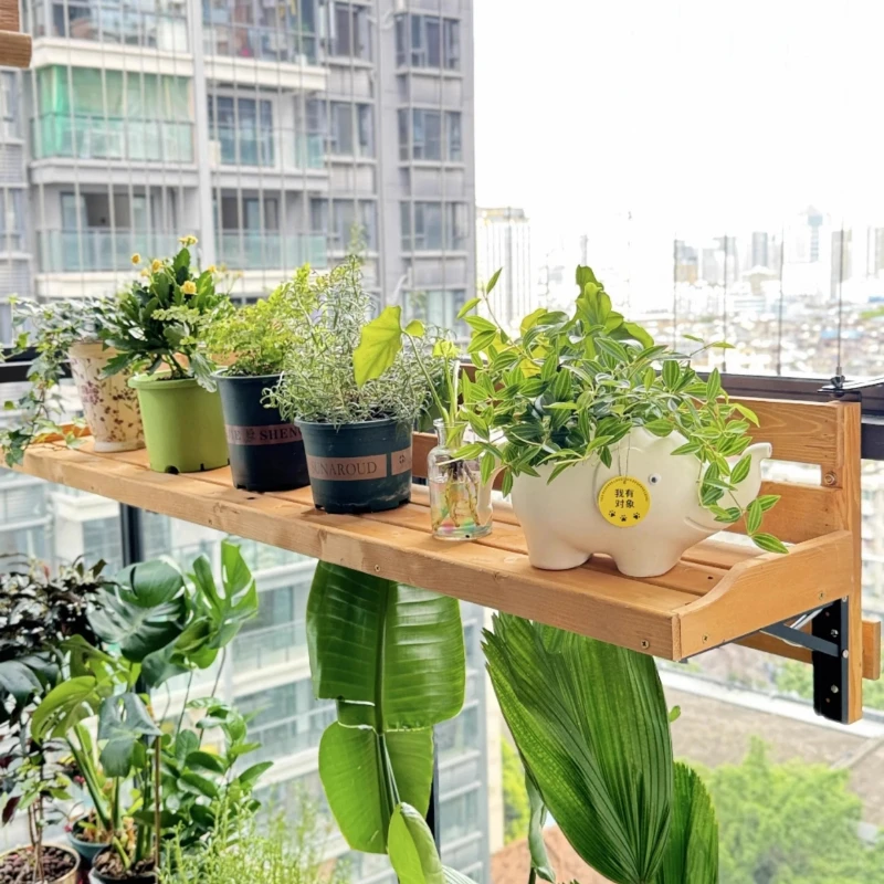 reverted marble queen pothos Pothos 'Marble Queen' | Lexington, KY main image 0