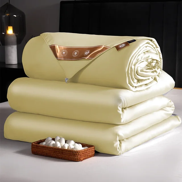 Couette d'été en soie 2025, très appréciée, remplissage en soie de mûrier, doux et respectueux de la peau, pleine taille, style moderne, récipient 3