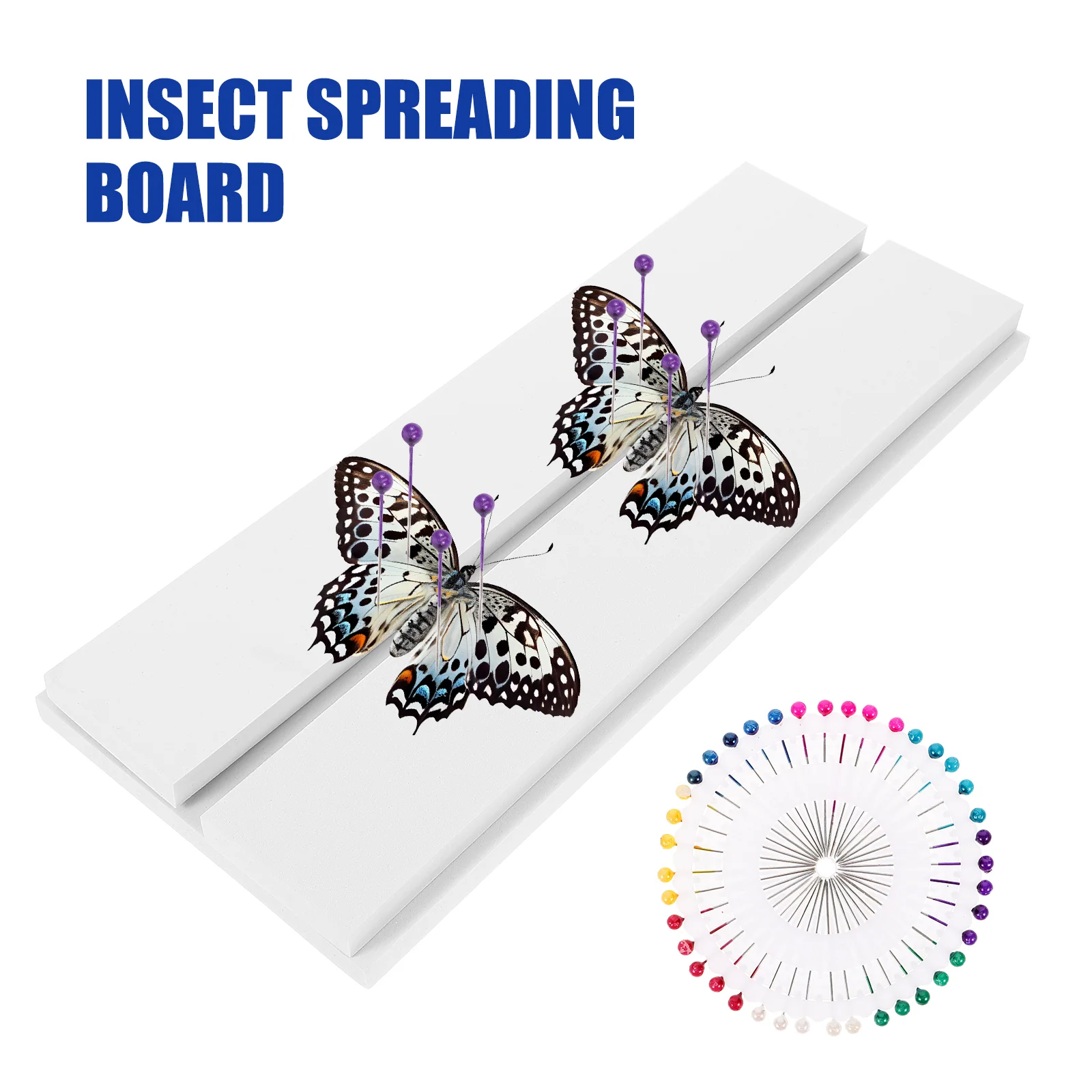 Snapklik.co : Insect Specien Toolbox, Butterfly Specien For Classroo Teaching, EVA