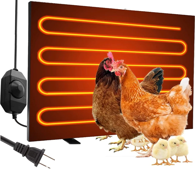 Chicken Coop Heater Heat Chicken Heater Energy Efficient Design Safer Than  Brooder Lamps Heater for Chicken Coop - AliExpress