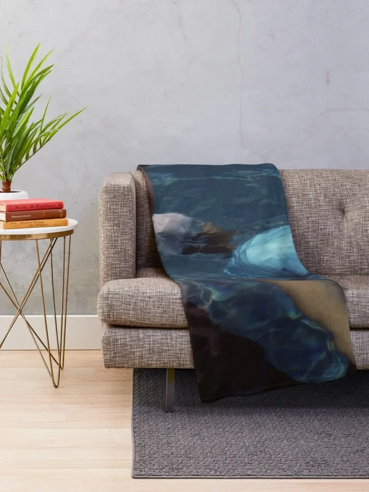 Ryan and Seth Throw ���, ���� �̺�, �غ� ���