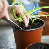 75Pcs Flexible Plant Nursery Pots Seed Starting Pots Plastic Flower Plant Container for Succulents Seedlings Cuttings Transplant 2