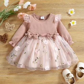 Baby Girl Embroidered Mesh Dress 1