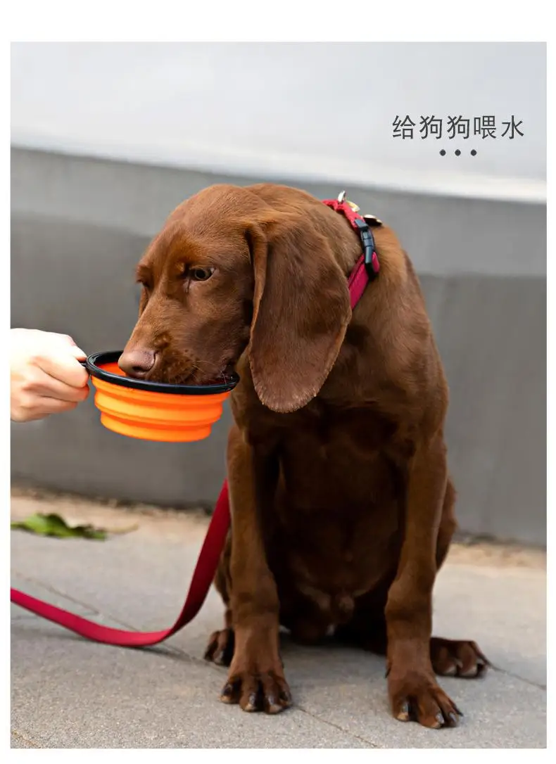 Title 7, OUZY Outdoor Portable Folding Pet Dog Bowl With...