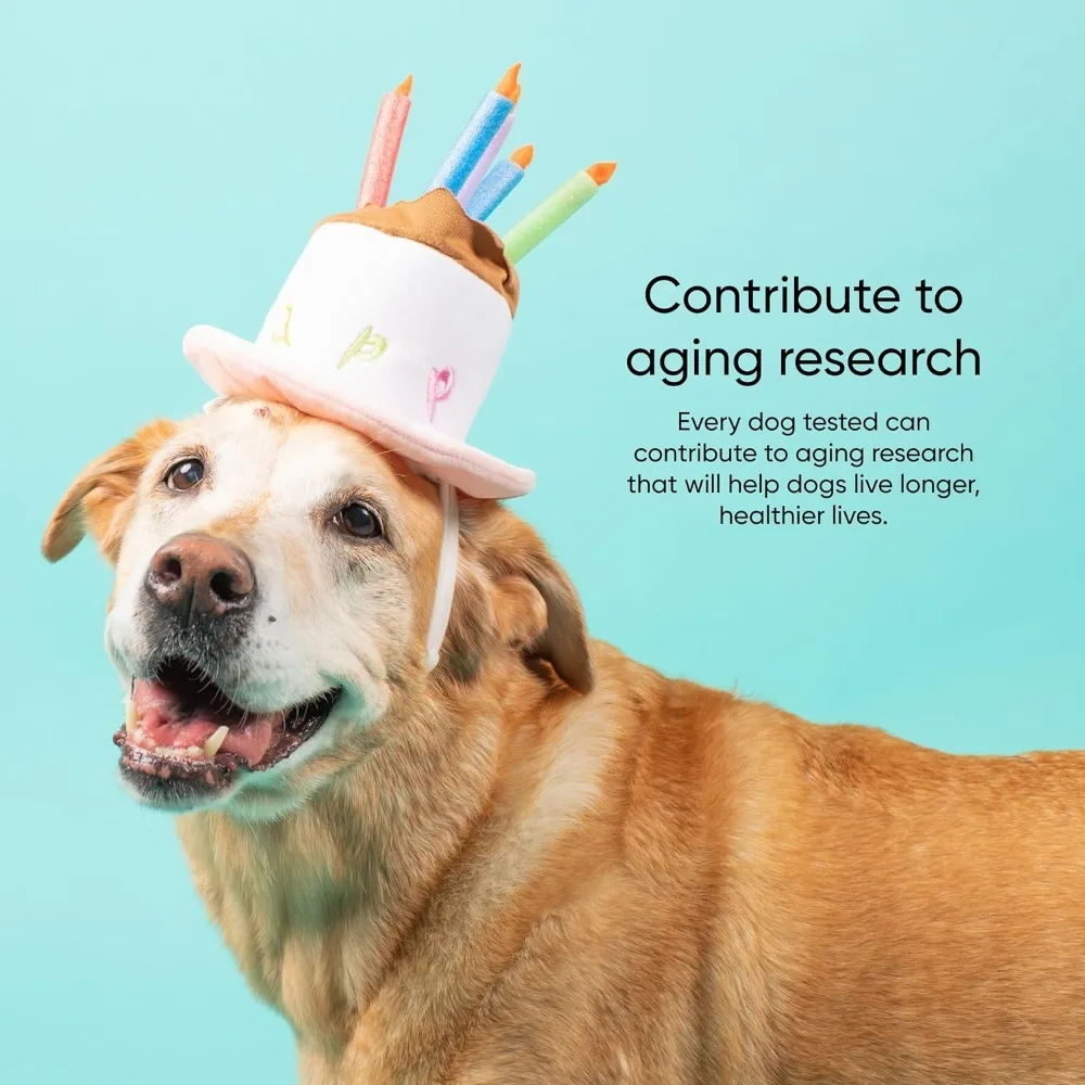 Dog Age Test Kit Estimates Age and Birthday DNA Methylation The Most Accurate Breed Identification Estimate Your Dog's