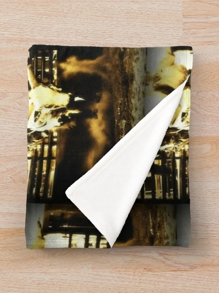 Ȳ�� �¸� �ε��� ī�캸�� �ҹ��� �ð� ���� ������ ���, ���� ħ�� ���� ���