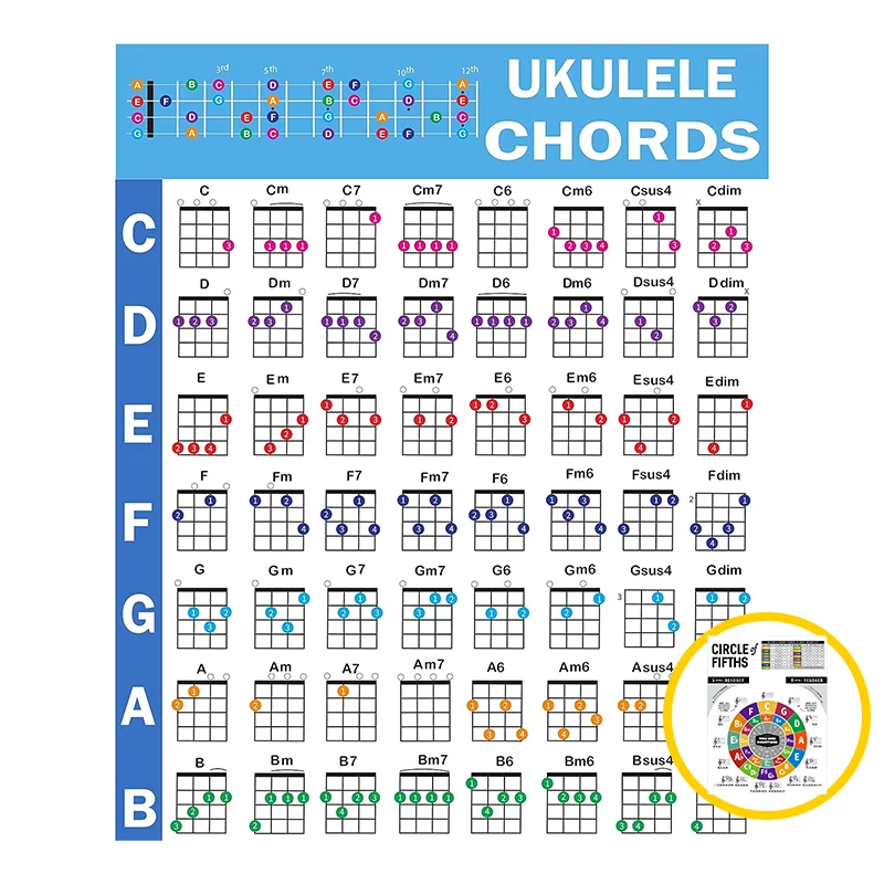Beginner's Laminated Ukulele Chord & Music Theory Poster